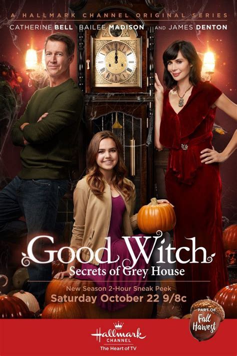 The good witch secrets of grey hluse